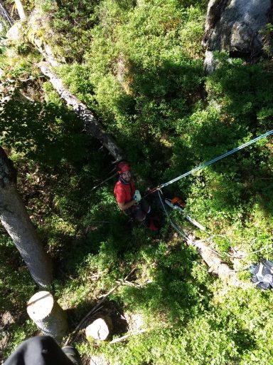 Experten für Baumfällungen und Baumpflege in Villingen-Schwenningen
