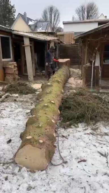 Bewertungen zur Baumpflege in Villingen-Schwenningen und Brigachtal