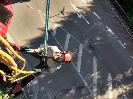 Baumpflege und Baumfällungen in Villingen-Schwenningen und Brigachtal