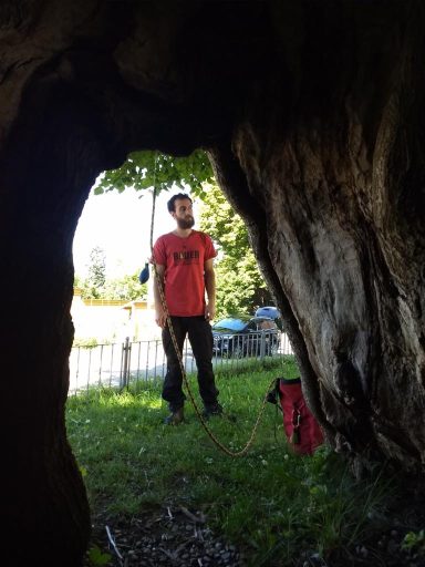 Partner für nachhaltige Baumpflege in Ihrer Region