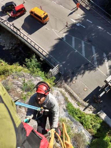 Professionelle Baumpflanzungen in Villingen-Schwenningen und Brigachtal